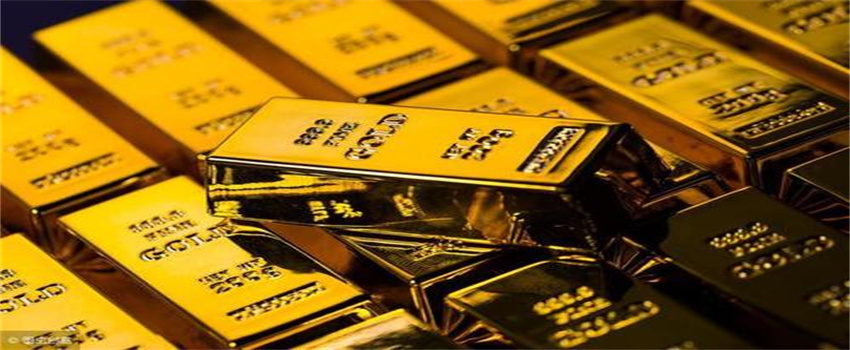 多项数据领跑全国！广东交出“粤海粮仓”亮眼成绩单